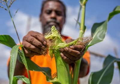 الإنمائي يوفر دخلًا لـ10 آلاف أسرة