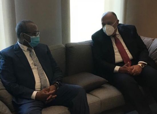 وزير الخارجية المصري يصل إلى النيجر