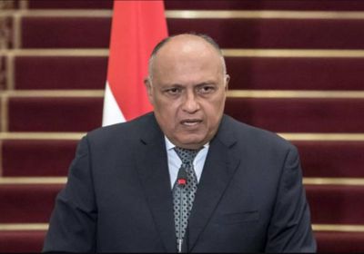 الرئيس المصري يبعث برسالة إلى نظيره التونسي 