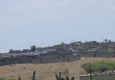 مليشيا الحوثي تهاجم الدريهمي بقذائف الهاون