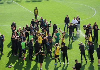 صعود واتفورد ونوريتش للدوري الإنجليزي الممتاز