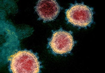"لجنة كورونا" تسجل 12 وفاة و32 إصابة مؤكدة بالفيروس