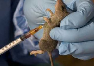 &rlm;رومانيا تسجل أول إصابة بالسلالة الهندية من كورونا