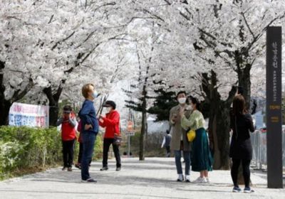 كوريا الجنوبية تسجل 488 إصابة وحالة وفاة بكورونا