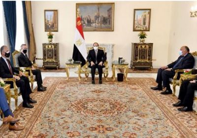  الرئيس المصري: قضية سد النهضة وجودية ولن نقبل بالإضرار بمصالحنا المائية