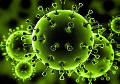 44 ضحية جديدة لفيروس كورونا في عدن و3 محافظات