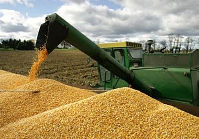 انخفاض صادرات أوكرانيا من الحبوب 24%