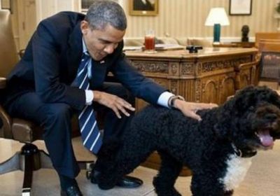 أوباما يعلن نفوق كلبه "بو"