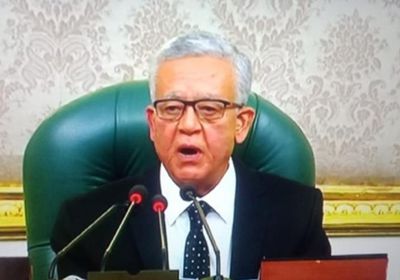 رئيس مجلس النواب المصري: الانتهاكات الإسرائيلية بحق الفلسطينيين جريمة ضد الإنسانية