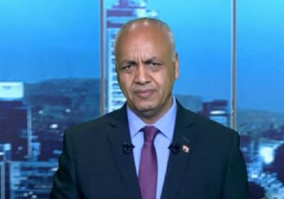  بكري: الموقف المصري من العدوان على فلسطين يستحق التقدير