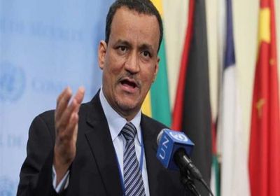   وزير الخارجية الموريتاني: يجب العمل لإقرار آلية دولية فعالة لحماية شعب فلسطين