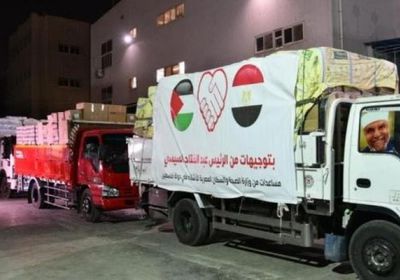 مصر تدعم فلسطين بـ65 طنًا من الأدوية