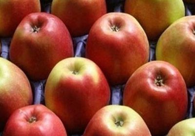 مصدر غني للألياف.. تعرّف على فوائد التفاح