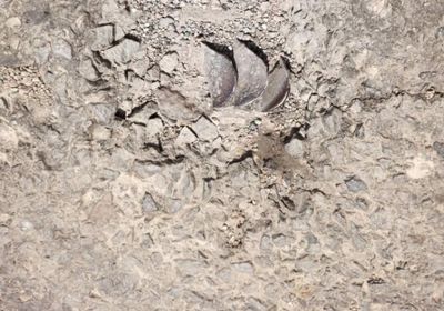 اكتشاف مقذوفين من مخلفات الحوثيين في تبن