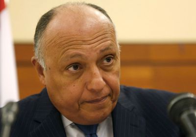 شكري: مصر لن تدخر أي جهد في الدفاع عن مصالحها المائية