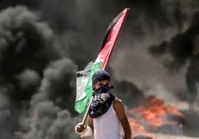  فلسطين: استشهاد 241 مواطناً من بينهم 67 طفلاً إثر العدوان الإسرائيلي على غزة