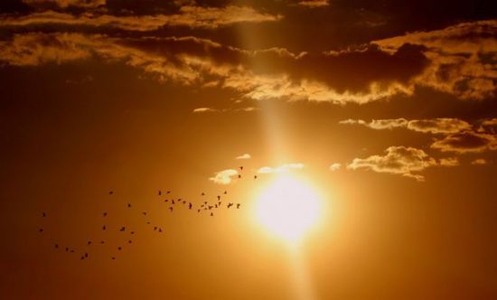 تحذيرات من ارتفاع حاد في درجات الحرارة