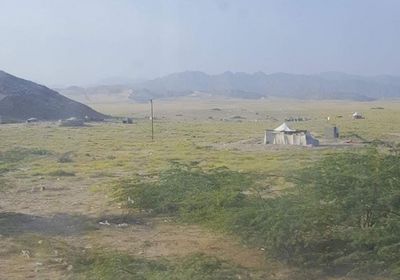 مليشيا الإخوان تهجّر مربي النحل بسلا في أبين