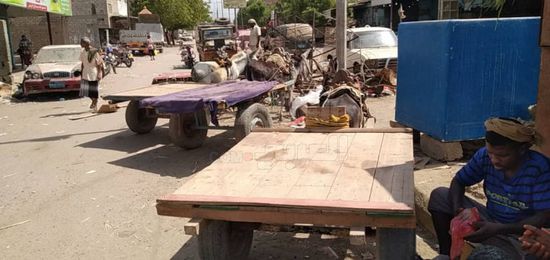 "الجواري" .. عصب اقتصادي حيوي لأسر أبين