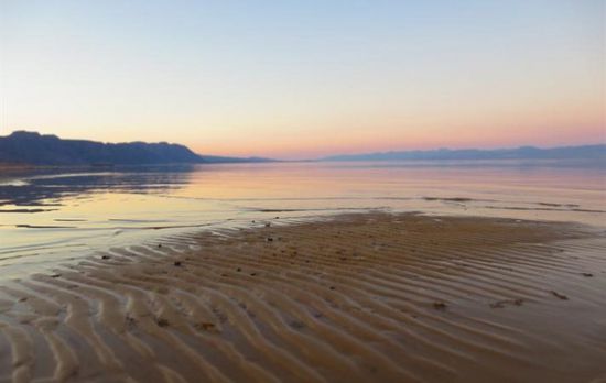 مصحوبة برياح.. موجة حارة غدًا على السواحل