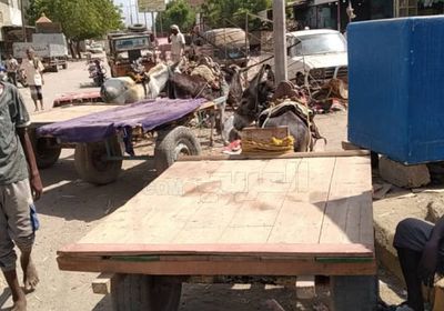 "سائقو الجواري".. شريان الاقتصاد في أبين