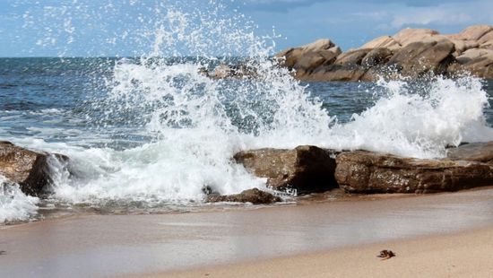 ارتفاع معدلات الحرارة والرطوبة على السواحل غدًا