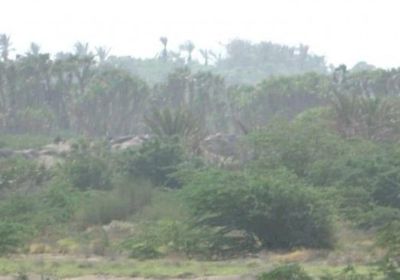 انتشار مليشيا الحوثي بخط زبيد.. و"المشتركة" تستهدفها