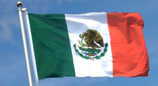 المكسيك تسجل أول إصابة بالفطر الأسود