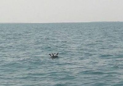 اكتشاف شبكة ألغام بحرية حوثية قبالة سواحل الخوخة