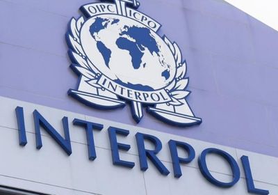  الإنتربول: حملة اعتقالات تقود 800 شخص يشتبه بارتكابهم نشاطات إجرامية