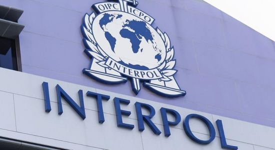  الإنتربول: حملة اعتقالات تقود 800 شخص يشتبه بارتكابهم نشاطات إجرامية