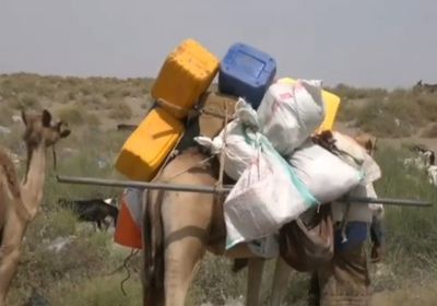 شاهد.. أسر النخيلة تهرب من القصف الصاروخي الحوثي