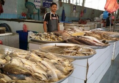 صفقة حوثية لابتزاز بائعي الأسماك في صنعاء