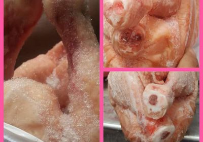 ضبط شحنة دجاج فاسدة في نقطة العلم