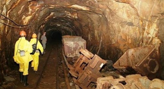 العثور على جثث 20 رجلا بالقرب من منجم ذهب في جنوب أفريقيا