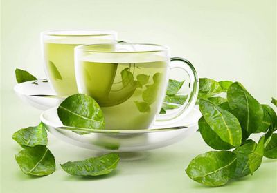  رغم فوائد الشاي الأخضر.. هؤلاء ممنوعون منه