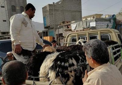 ارتفاع حاد في أسعار الأضاحي بشبوة