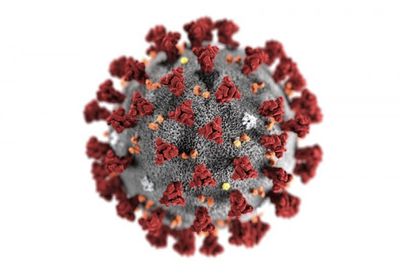 "لجنة كورونا": وفاة و7 إصابات و5 متعافين