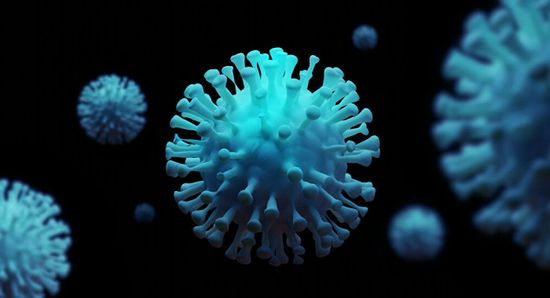 لا وفيات أو إصابات بكورونا في ساحل حضرموت