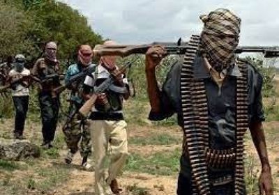 مقتل 100 مسلح في عملية مشتركة بين النيجر وبوركينا فاسو