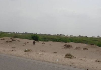 مصرع عنصرين حوثيين في التحيتا