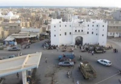 قرار بمنع إجراء المبايعات في الحجوزات الزراعية بالشحر