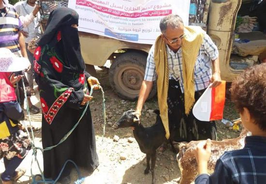 117 أسرة في الضالع تتلقى رؤوس أغنام من "فاو"