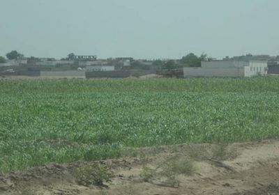 قصف حوثي عشوائي على مزارع جنوب التحيتا