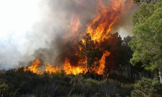 إجلاء مواطنين إثر حريق غابات في فرنسا