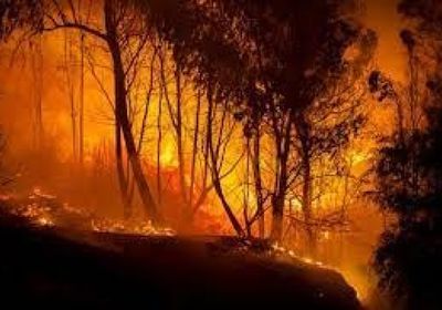 قبرص تسيطر على حريق الغابات  