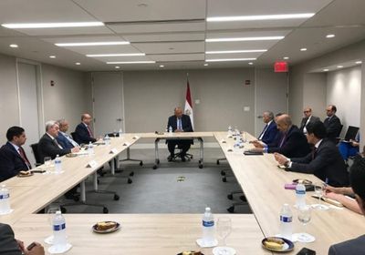  وزير الخارجية المصري يلتقي اللجنة العربية المعنية بسد النهضة