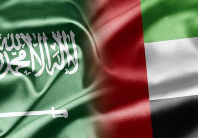 الحربي: العلاقات الإماراتية السعودية تكاملية ومصيرية