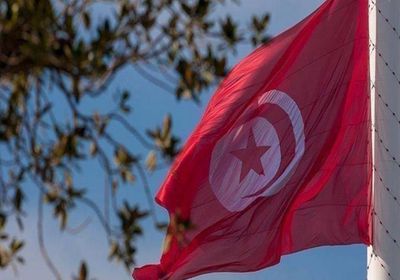 تونس توزع مشروع قرار بمجلس الأمن بشأن سد النهضة