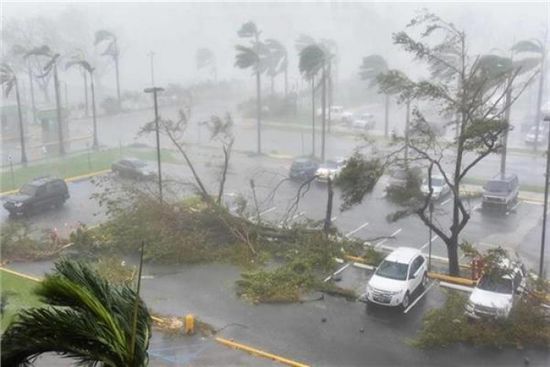 عاصفة إلسا تتحول إلى إعصار بعد اقترابها من فلوريدا